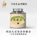Green Tea Mingqian Bi Luo Chun 2025 New Fragrant Tea Small Can for Personal Use