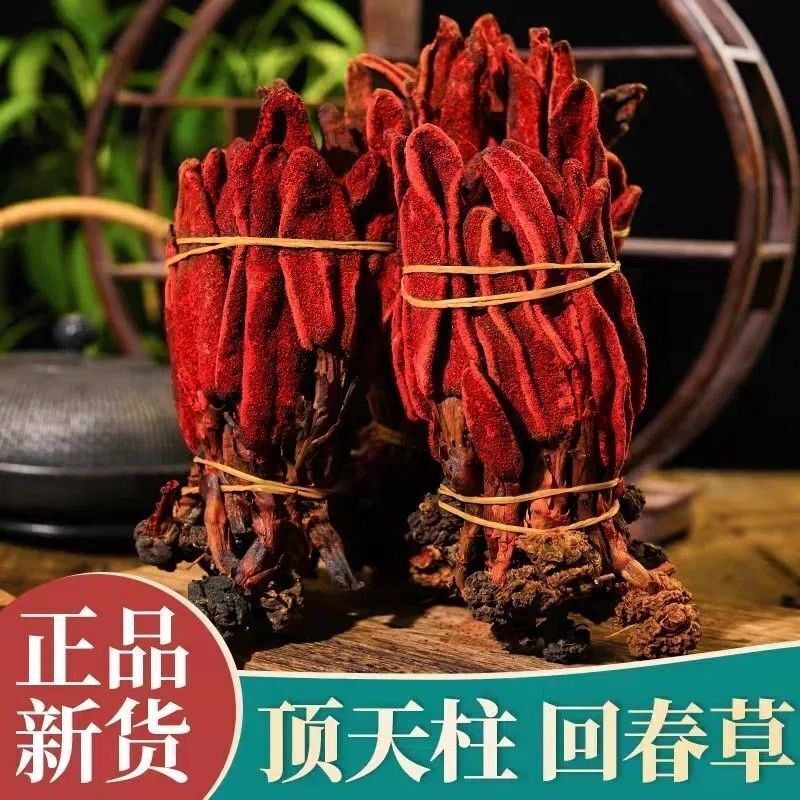 Rejuvenation Herb Tea Dingtianzhu Amaranth Cistanche and Ageless Grass for men