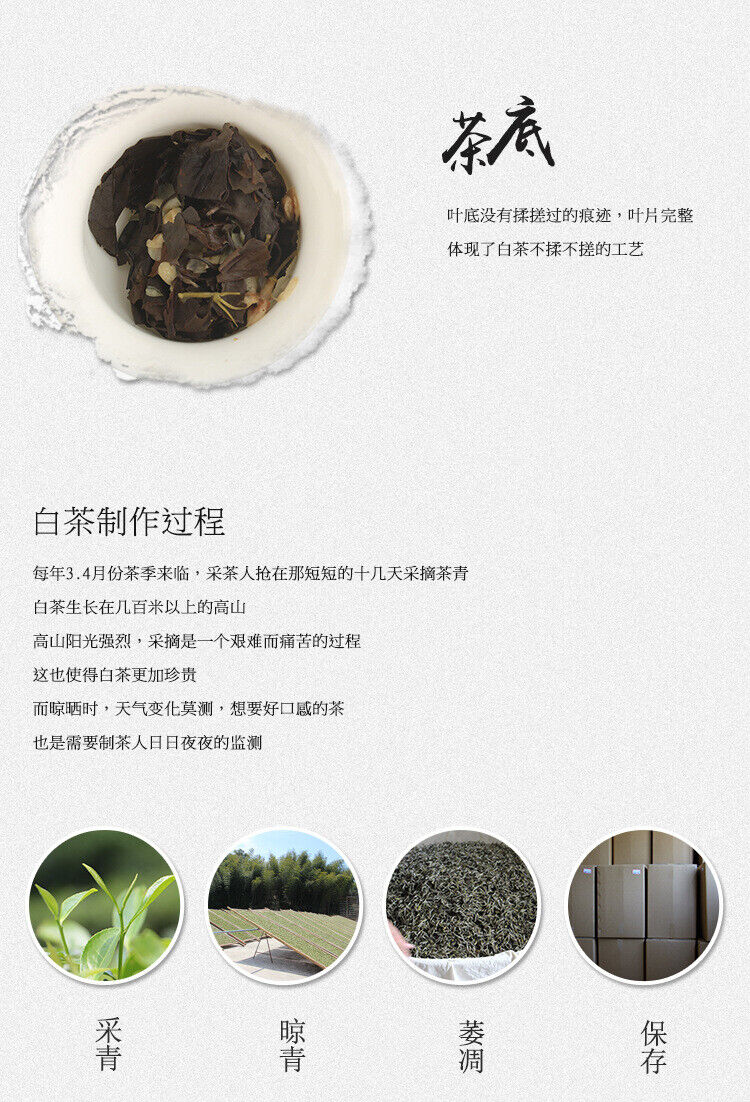 White Tea Jasmine White Tea Organic Sunlight Clear White Tea 150g Top Fuding