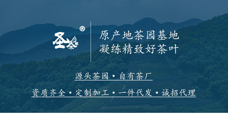 Grade Two Phoenix Style Pre-Qingming Gift Box Green Tea 125g New Anji White Tea