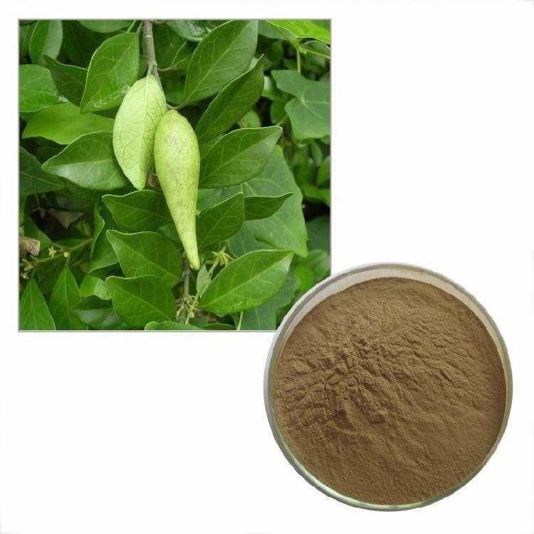 100g Gymnema Sylvestre Extract Powder 10:1 Blood Sugar Control Secondary image