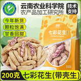 Yunnan Roasted Peanuts – Shelled, Colorful & Fresh, Wholesale Snack Seeds