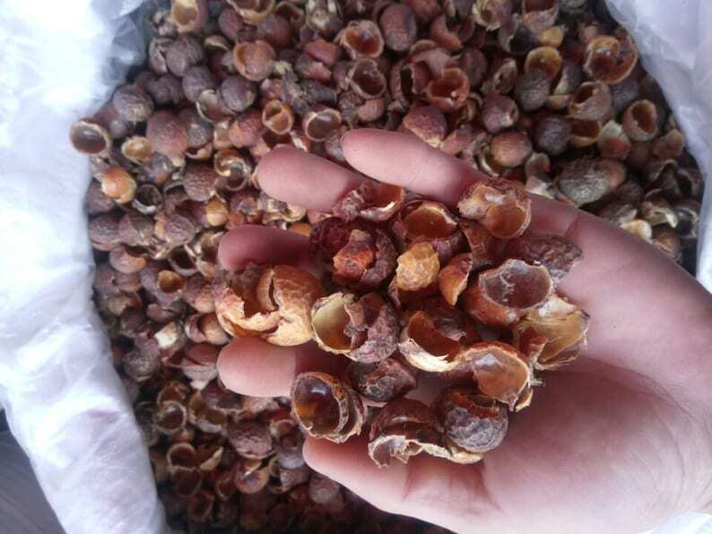 500g Organic Dried Soapberry Shell, Wu Huan Zi Ke Main image