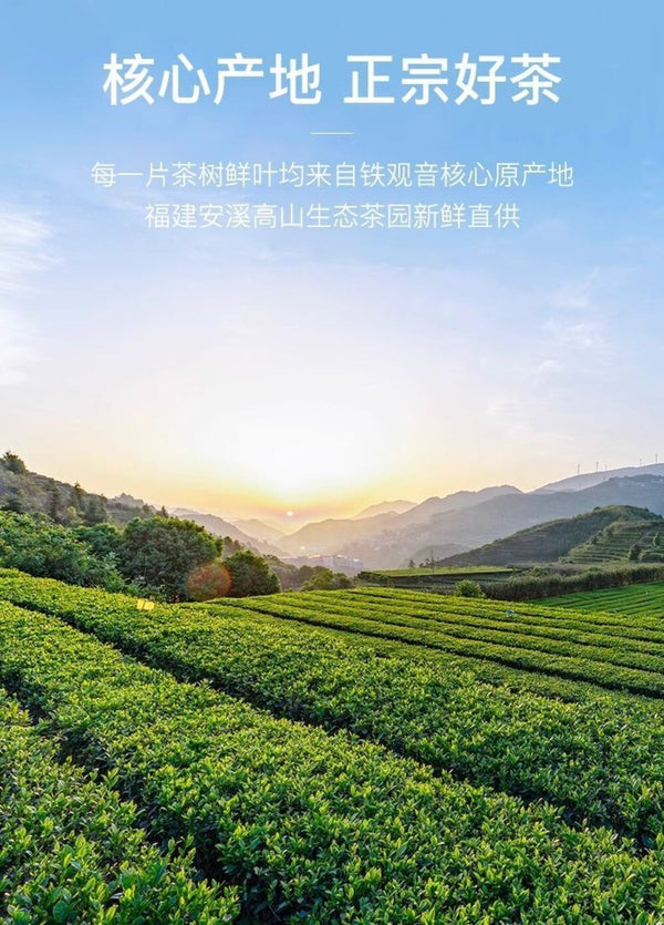 2025 Zhi Fu Tie Guan Yin Oolong Tea Spring High Mountain Loose Leaf