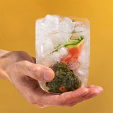 Watermelon Oolong Tea Iced Cold Brew Portable Tea Bags 50g 5g*10 Pack