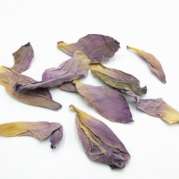 dried lotus flower petals lotus flower lotus dried lotus flower pieces 17.6oz