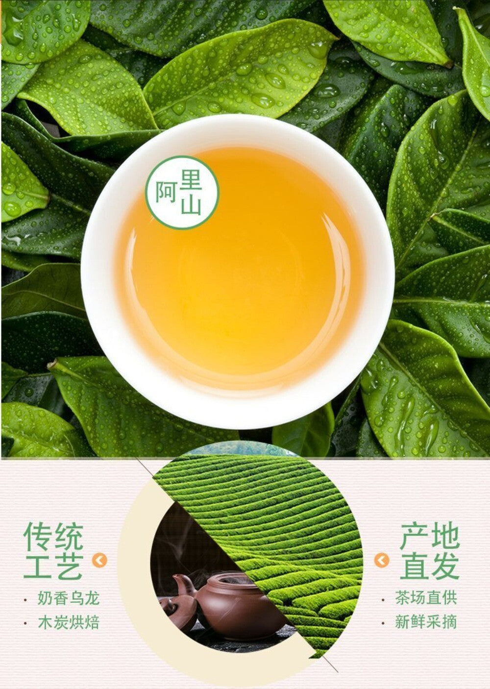 Premium Charcoal Roasted Tie Guan Yin Oolong Tea Gift Box Alishan High Mountain