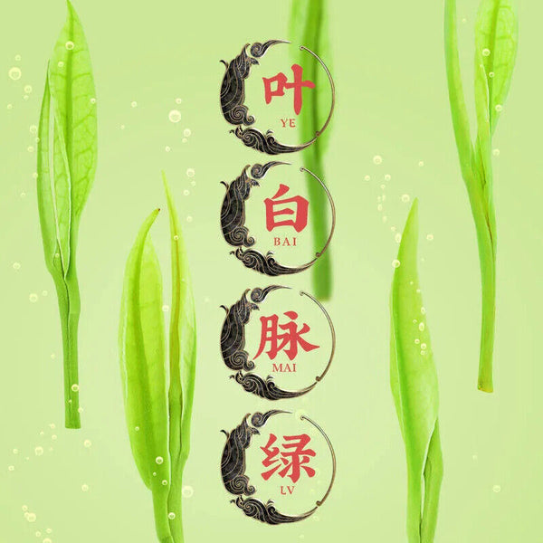 New Tea Authentic Anji White Tea White Golden Bud Spring Green 250g
