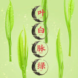 New Tea Authentic Anji White Tea White Golden Bud Spring Green 250g