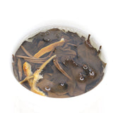 Pi Old White Tea Fuding White Tea Healthy Drink 150g High Quality Chen