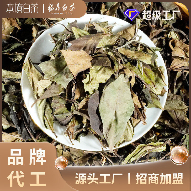 Wholesale Chinese famous high quality Fujian white tea high mountain snow buds Main image
