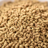 500g Bulk Bitter Buckwheat Tea Daliangshan Buckwheat Tea