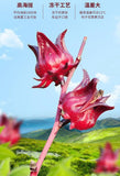 Premium Dried Roselle Hibiscus Flowers - Whole Buds for Hot/Cold Brew