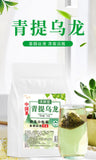 Green Grape Oolong Tea: Raisins Infusion, Natural Fruit Flavor Pyramid Bags