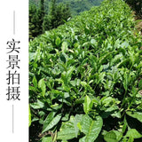 Mingqian Green Tea Lingluo Spring High Mountain Cloud Mist Tea 50g