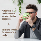 Artemisia Powder 8.8 oz | Wormwood Powder | Artemisia Annua | Non-Gmo