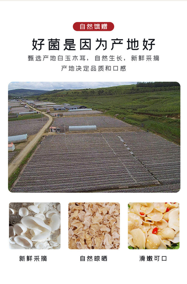 Premium White Fungus from Changbai Mountain Natural Dried Superfood No Roots