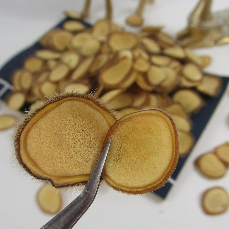 Lu Rong, Sika Deer Antler Slice, Deer Antlers Slices, Rare Energy Tonic Secondary image
