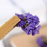 Forget-Me-Not Flower Tea Pure Forget-Me-Not Dried Flowers Bulk