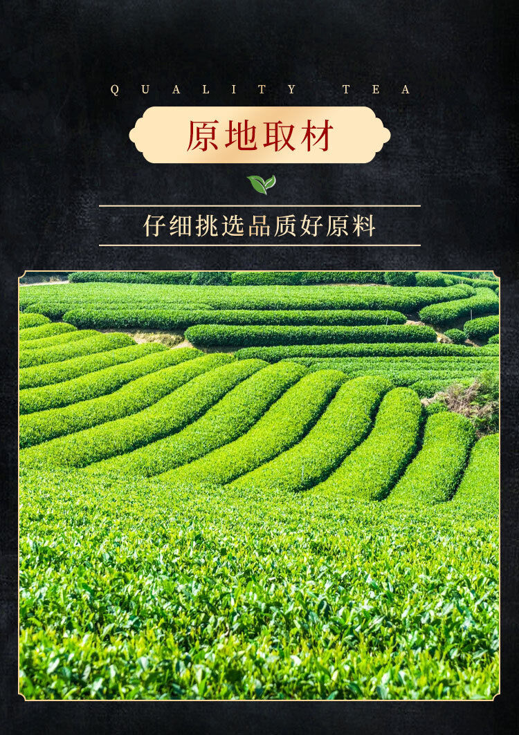 50g Chajindao Biluochun Green Tea Mingqian Loose Tea Good Tea