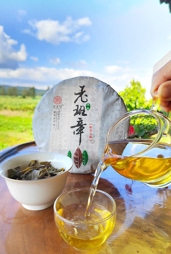 357g Ming Qian Ancient Tree Spring Tea Pu'er Raw Tea Seven Seed Cake Tea