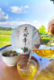 357g Ming Qian Ancient Tree Spring Tea Pu'er Raw Tea Seven Seed Cake Tea