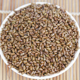 500g Cassia seeds tea new product cooked cassia seeds tea bulk herbal tea