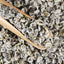 Biluochun China Green Tea Health  Yunnan Single Bud Pekoe Tea Chinese Tea