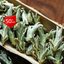 250g Yunnan White Bud Pu-erh Tea Bai Ya Bao Sheng Puerh Loose Leaf Sheng Puer