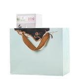 White Tea 50g/can First Spring Tea Loose White Tea Fuding Baihao Yinzhen Fuding