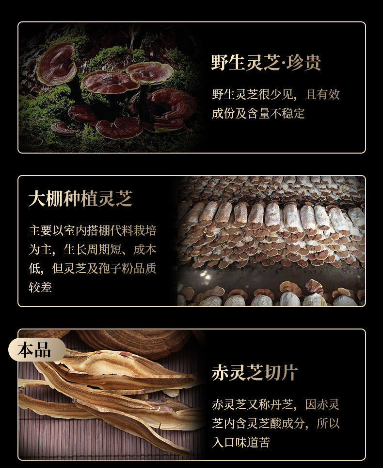 Ganoderma lucidum tablets in tea and soup Changbaishan wildlife infusion tea