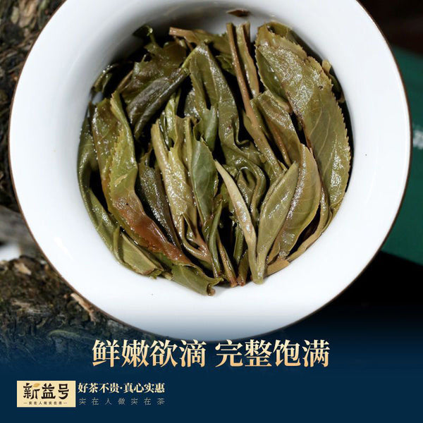 Pu'er Tea Raw Tea 88 Green Brick Spring Tea Yunnan Ancient Tree Tea 500g