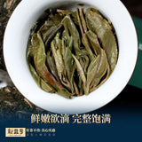 Pu'er Tea Raw Tea 88 Green Brick Spring Tea Yunnan Ancient Tree Tea 500g