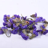 Organic Dried Myosotis sylvatica Flower tea Forget-me-not Naure Flower Tea