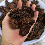 50g Morinda Citrifolia Herbal Tea 50 Grams Fresh Hainan Noni Fresh Fruit Dried