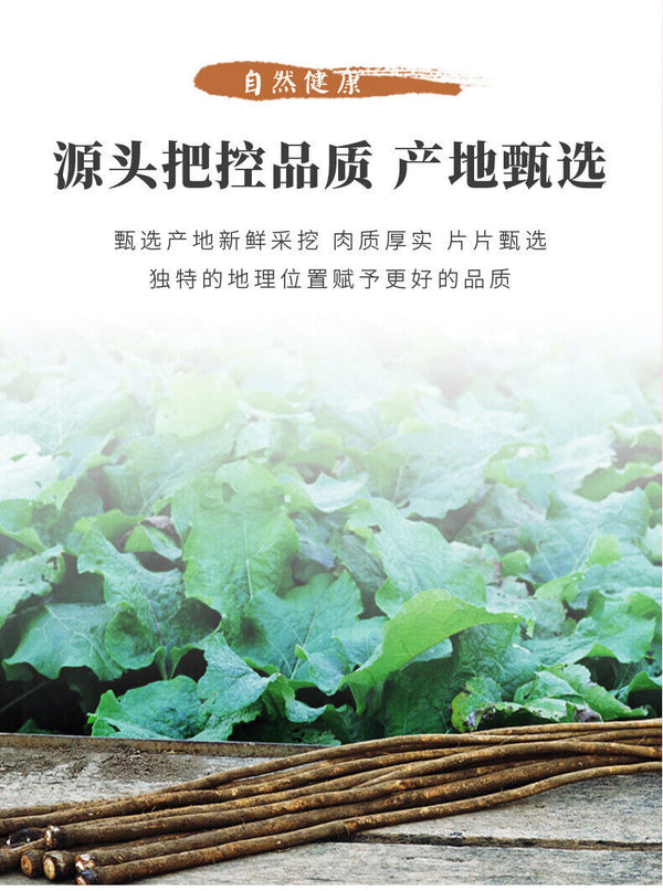 Premium Burdock Tea 100g Canned Natural Herbal Wellness Direct Source