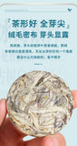 Iceland Ancient Tree Raw Pu'er Yunnan Moonlight White Tea Baekho Silver Needle