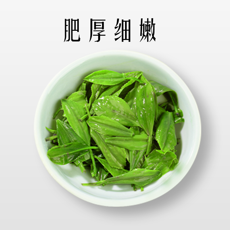 Strong aroma Enshi Yulu tea pre-bright green tea buds alpine cloud tea 250g