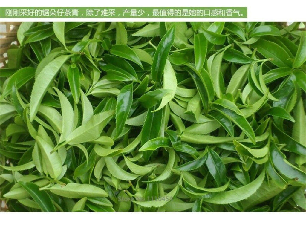Phoenix Dancong Single Bush Tea 250g Premium Natural Health Oolong