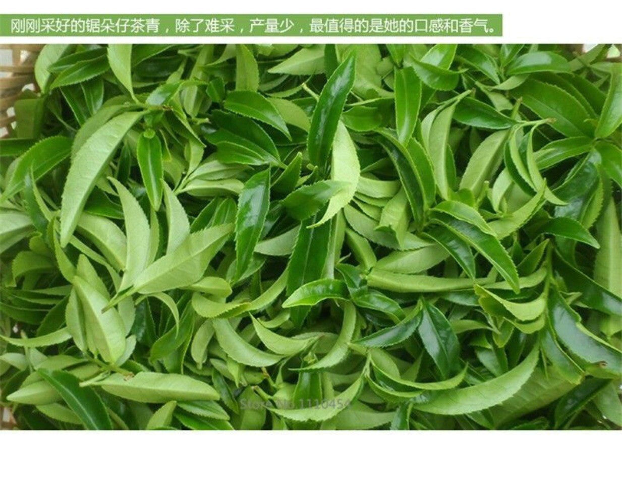 Phoenix Dancong Single Bush Tea 250g Premium Natural Health Oolong