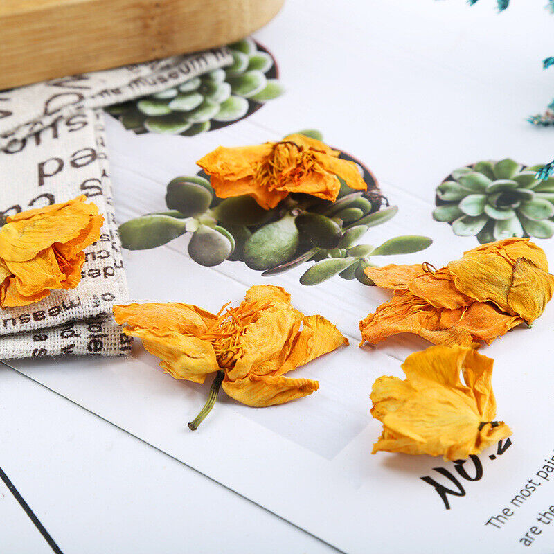 Inner Mongolia Golden Lotus Flower Golden Lotus Dried Flower Herbal Tea 500g