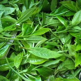357g Natural Organic Arbor Pu'er Tea Top Yiwuqingbing Health Care Pu'er Cha Tea