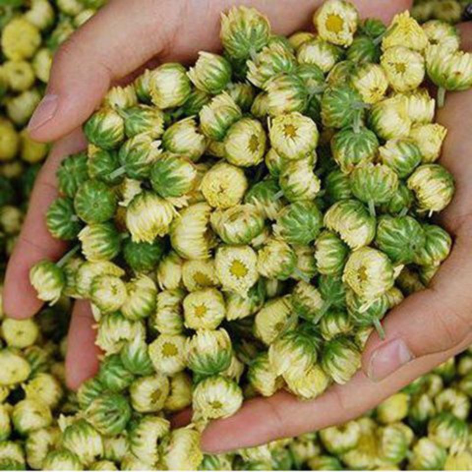 Chrysanthemum Tea Tongxiang Hangbai Wild Chrysanthemums