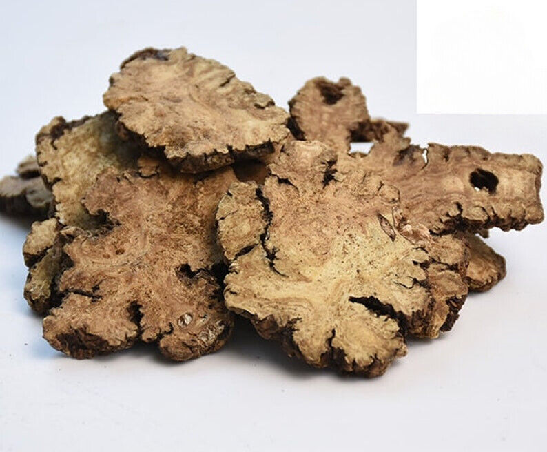 Sheng Chuan Xiong 生川芎 Raw Ligusticum striatum Raw Ligusticum chuanxiong Hort 1lb Main image