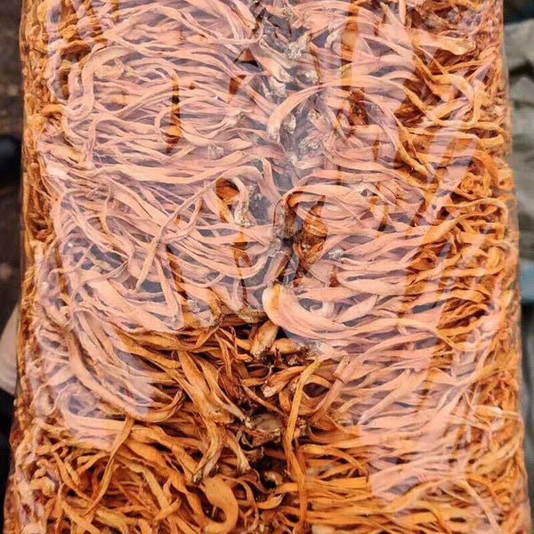 Chinese Anti-aging Cordyceps Flower100g Chong Cao Hua Lowering Blood Pressure