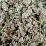 Premium Dried Honey Flower Fresh Stock Chinese Medicinal Herb Natural