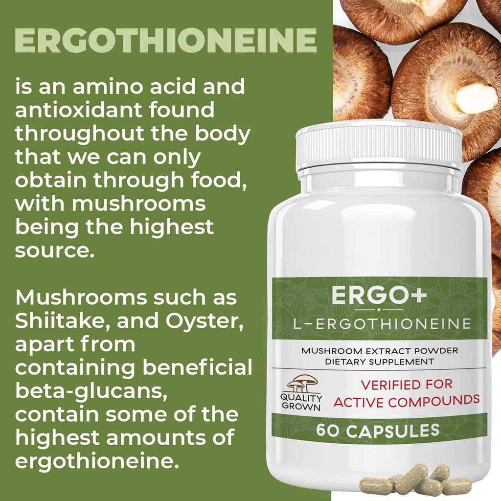 ERGO+ L-Ergothioneine Oyster Mushroom Capsule Supplement 60 Capsules