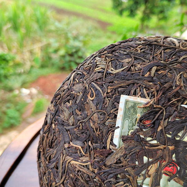 357g Yunnan Old Raw Tea Pu'er Aged Gaoligongshan High Altitude Eco