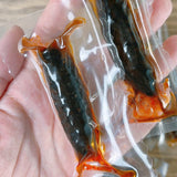 100g Vacuum Sealed Instant Sea Cucumber High Protein Low Fat Snack