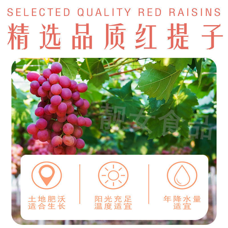 Salted Raisins Rose Red Dried Grapes Fruit Snack